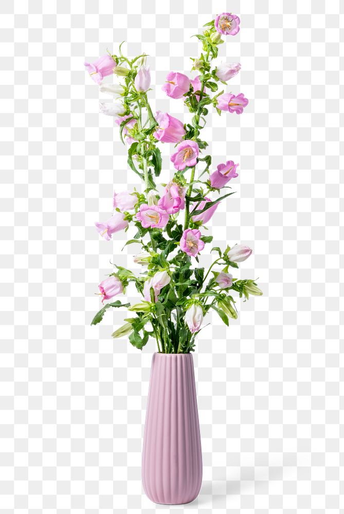 PNG canterbury bells in pink vase, isolated object, collage element design