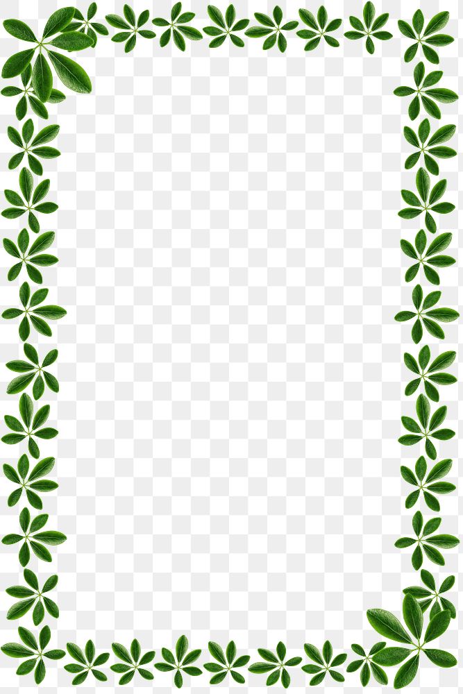 Green leaves rectangle frame design element