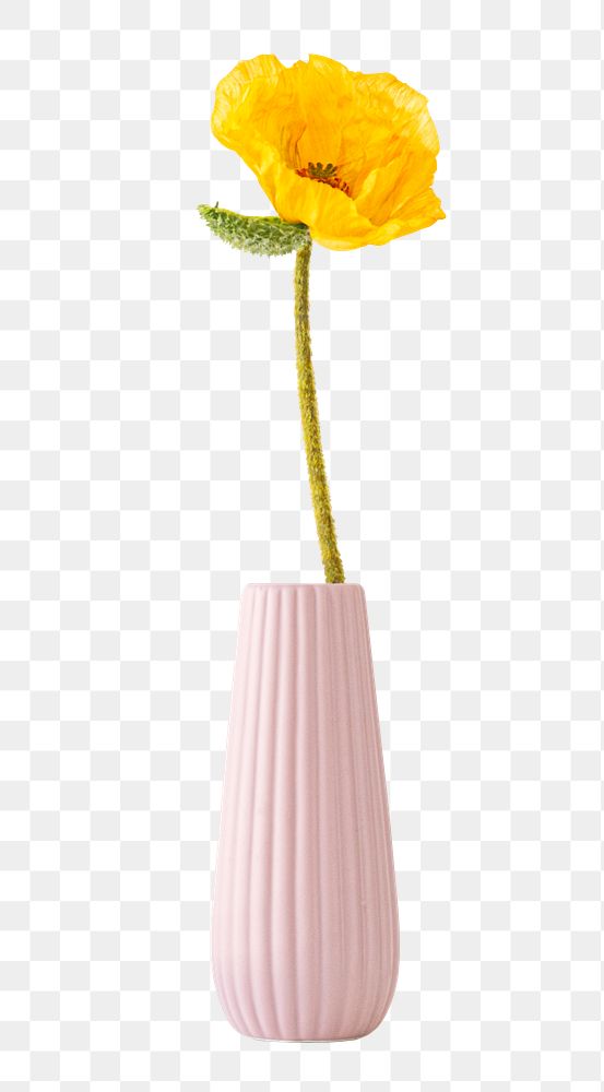 Yellow in a pink vase design element