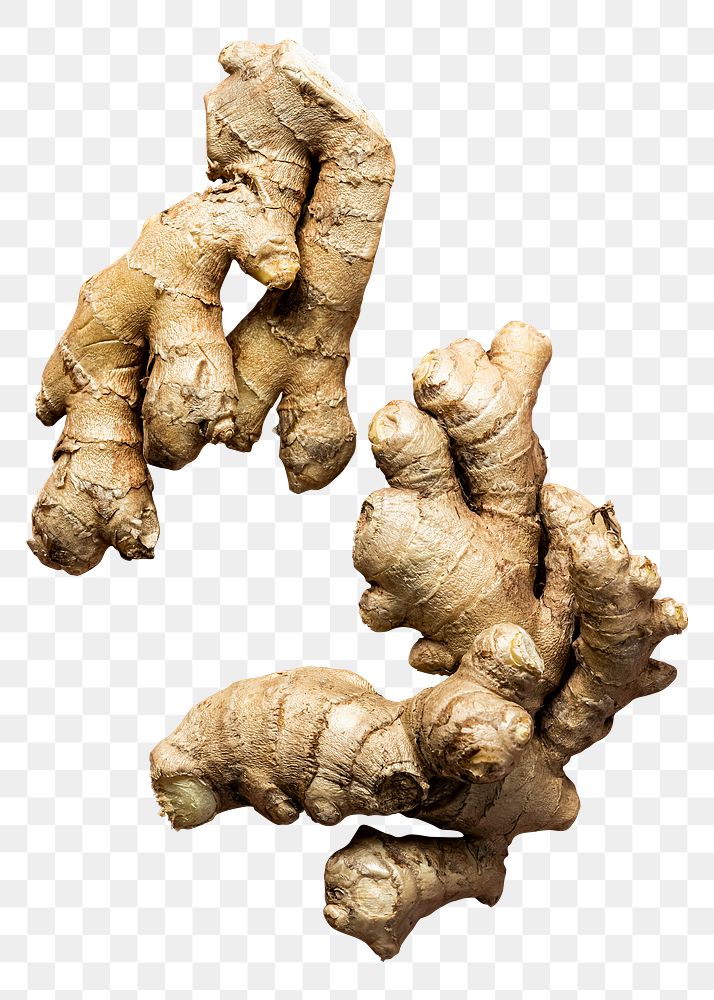 Ginger png organic herbs and vegetables