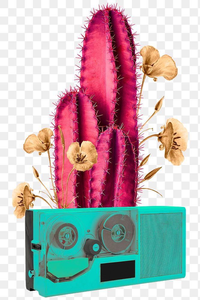 Collage cactus png vintage illustration sticker, printable scrapbook paper cutout and digital planner element