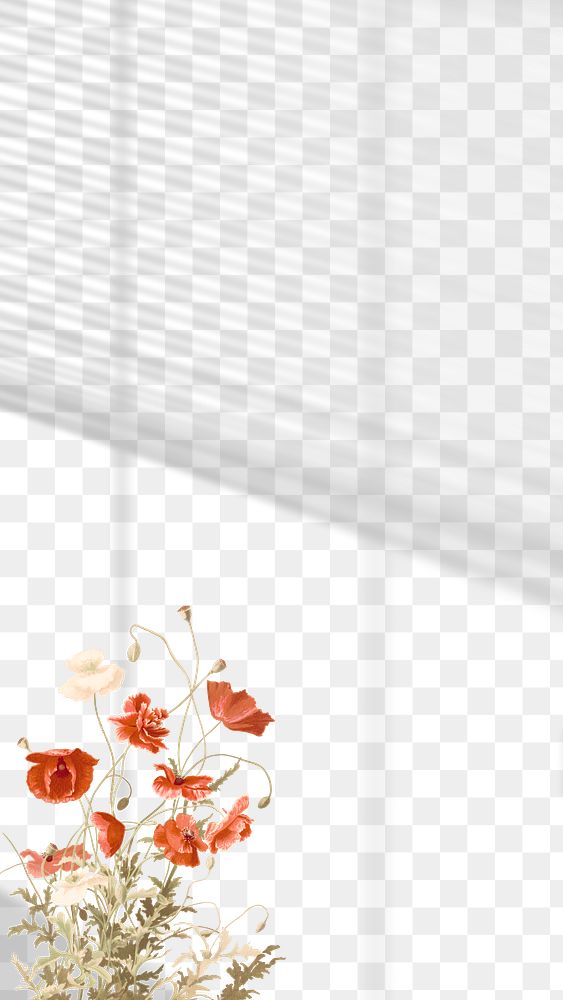 Background png, flower aesthetic, shadow transparent background