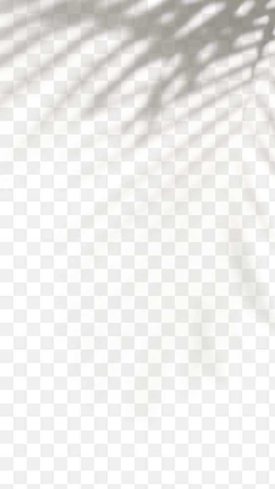 Leaf border png, aesthetic shadow with natural light on transparent background