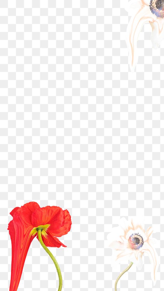 Flower border png, abstract transparent background