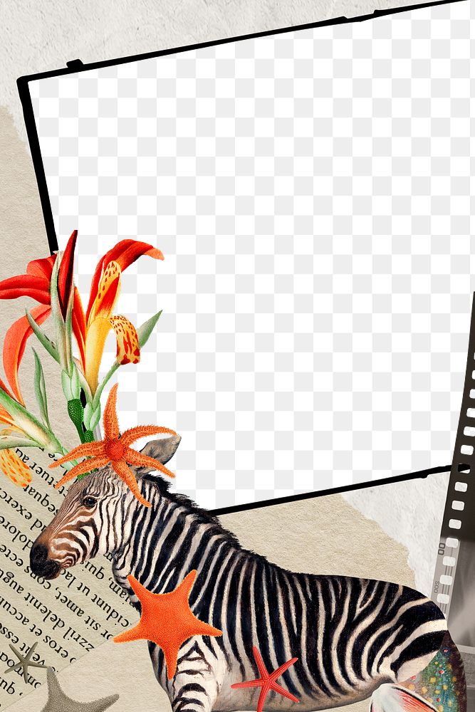 Retro zebra png transparent note in frame, surreal hybrid animal scrapbook illustration