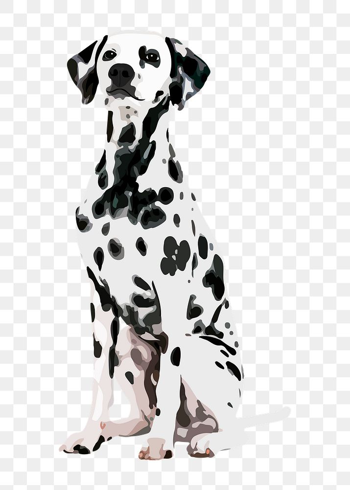 Dalmatian dog png sticker, transparent background