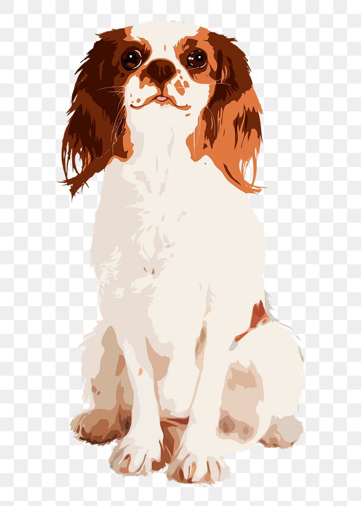 Spaniel dog png sticker, transparent background