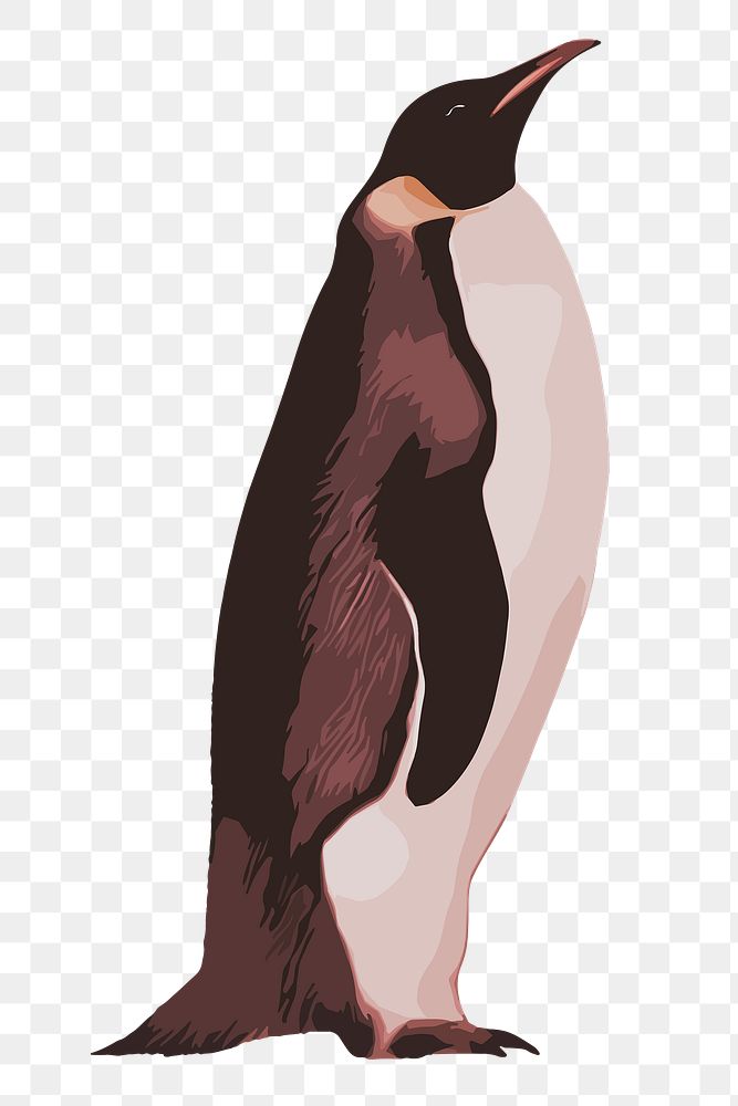 King penguin png sticker, transparent background