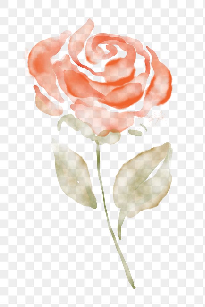 Rose clipart png, watercolor orange illustration on transparent background