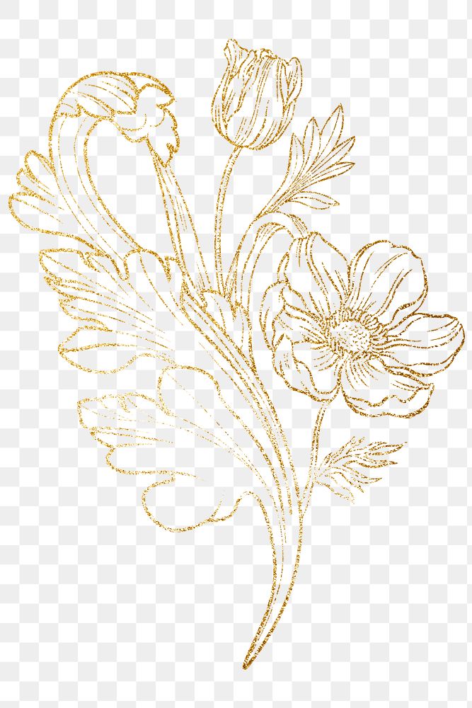 Gold flower png clipart, ornamental floral line art on transparent background