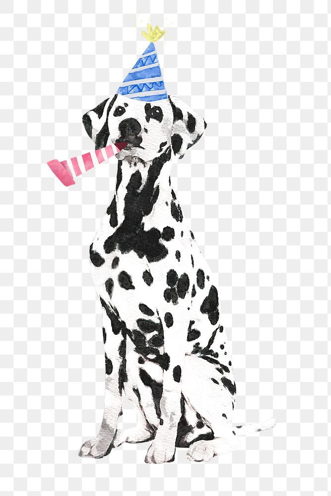 Watercolor Dalmatian dog png illustration on transparent background in watercolor with birthday party hat & party popper