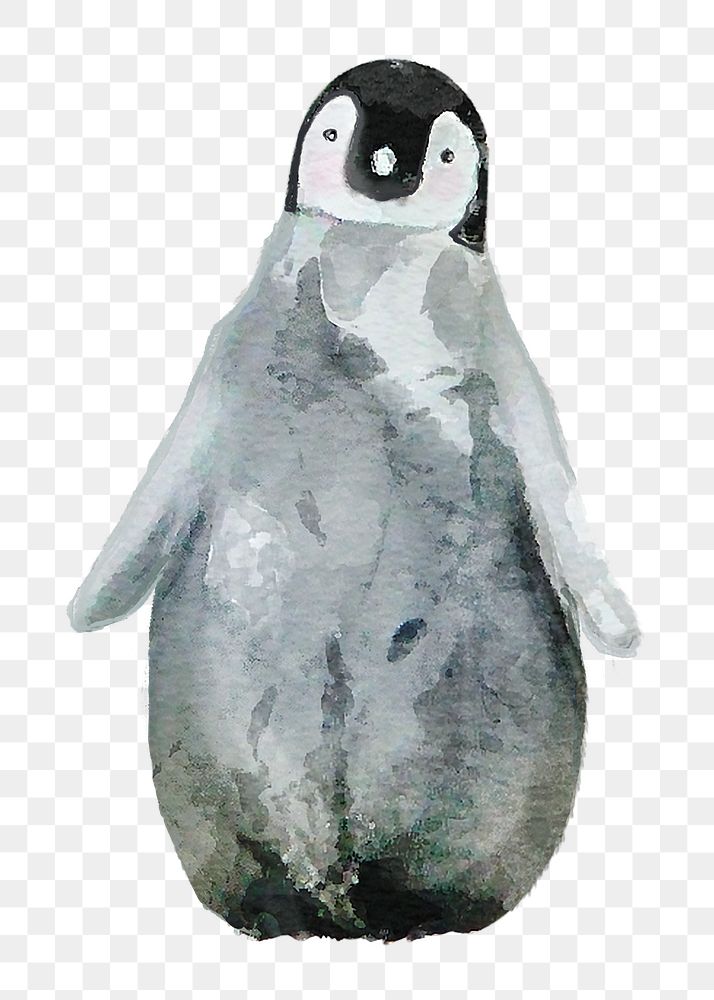 Watercolor baby penguin png illustration on transparent background