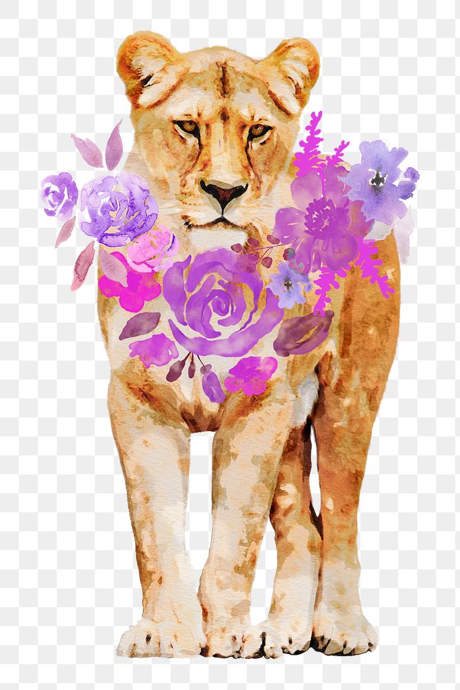 Watercolor lioness png illustration on transparent background wearing flower wreath 