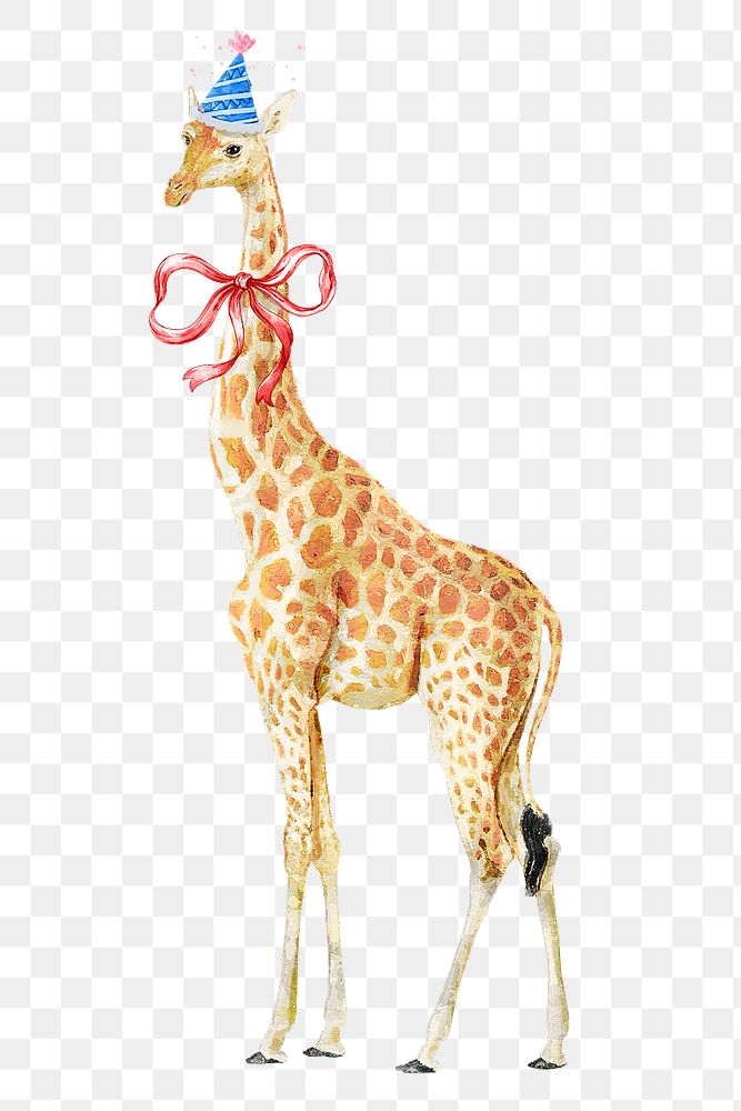 Giraffe png illustration on transparent background wearing party hat and bow ribbon