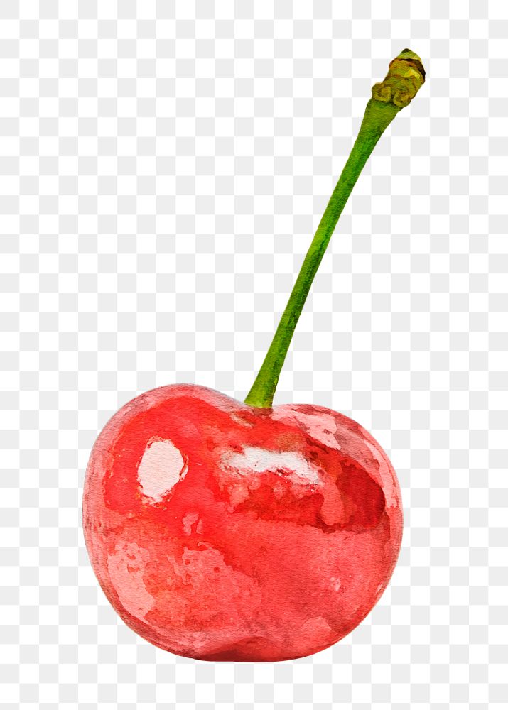 Red cherry png illustration on transparent background