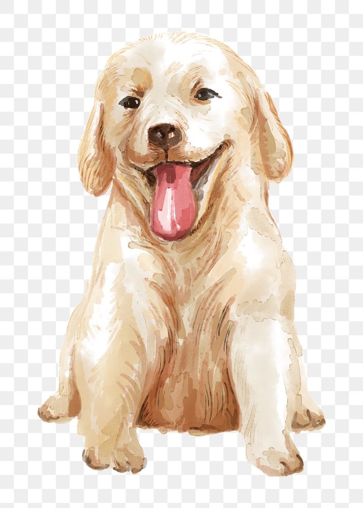 Golden retriever puppy png illustration on transparent background in watercolor