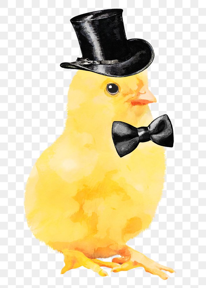 Png top hat chick sticker, watercolor illustration, transparent background