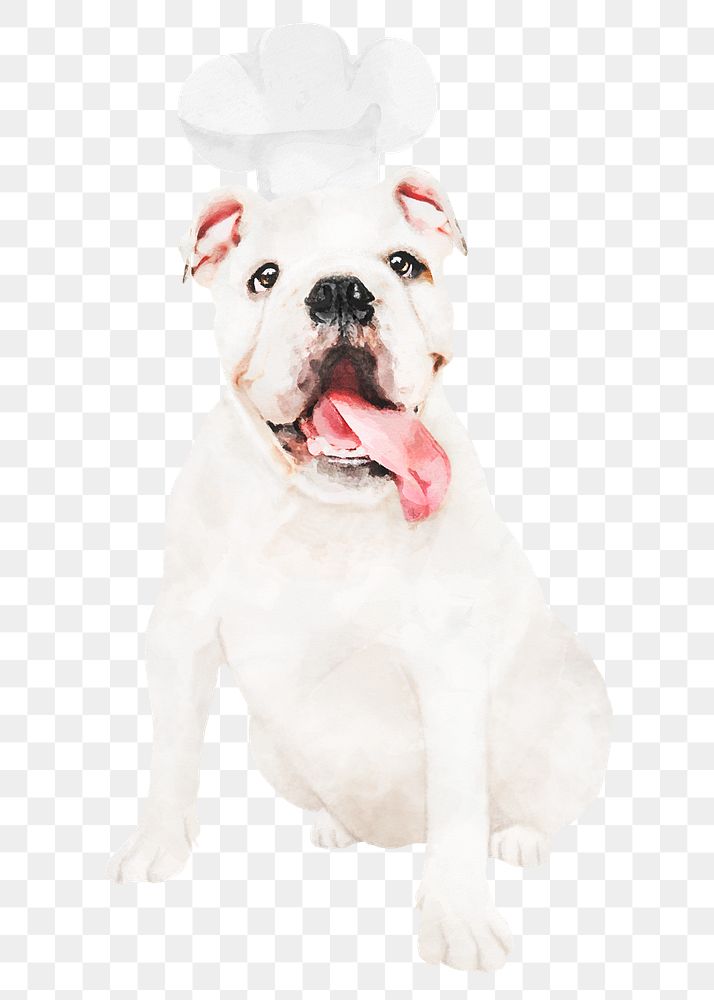 Dog png sticker, watercolor illustration, transparent background