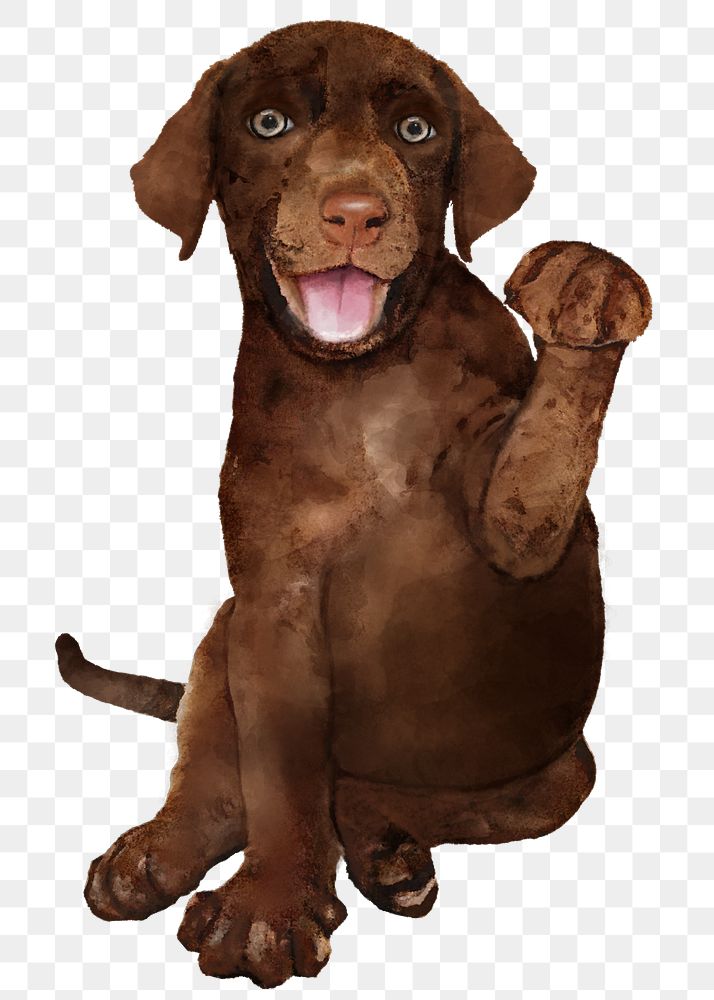 Brown dog png sticker, watercolor illustration, transparent background