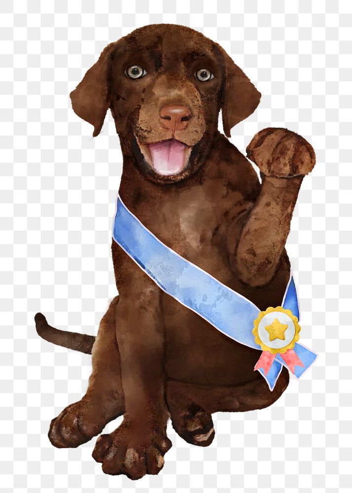 Champion dog  png sticker, watercolor illustration, transparent background