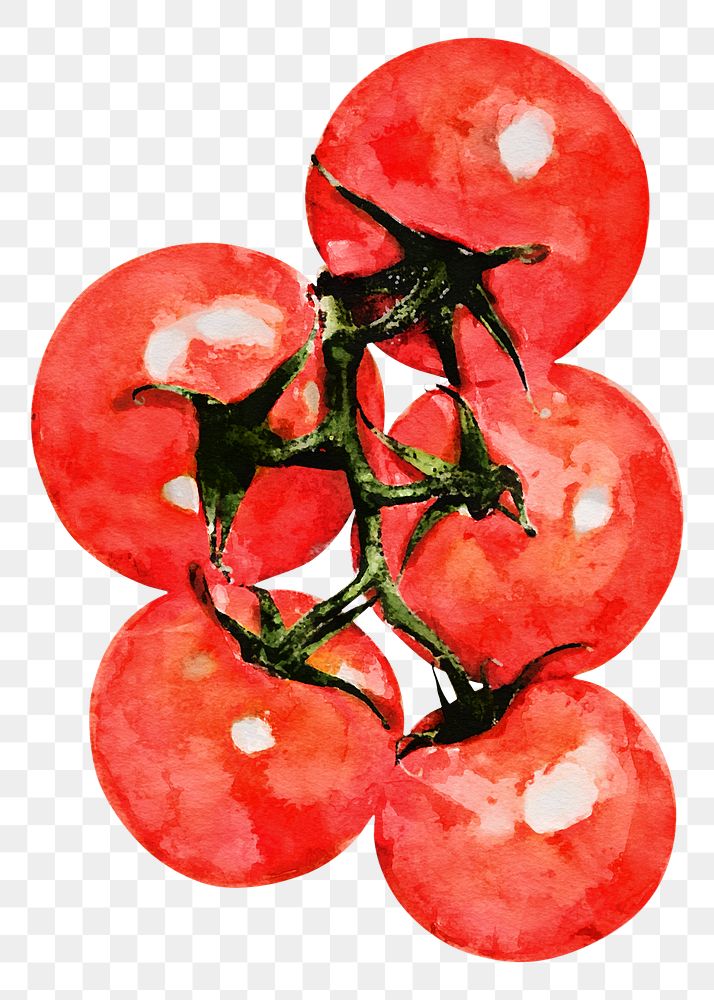 Tomato png clipart, vegetable sticker on transparent background