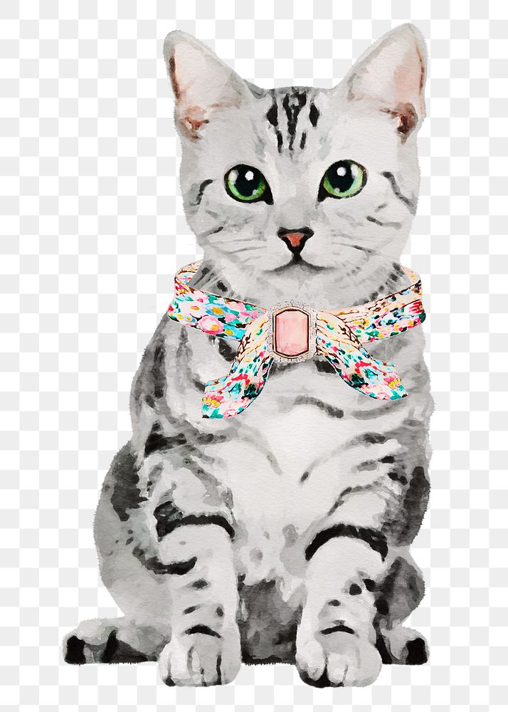 Cat png sticker, American shorthair with collar, transparent background
