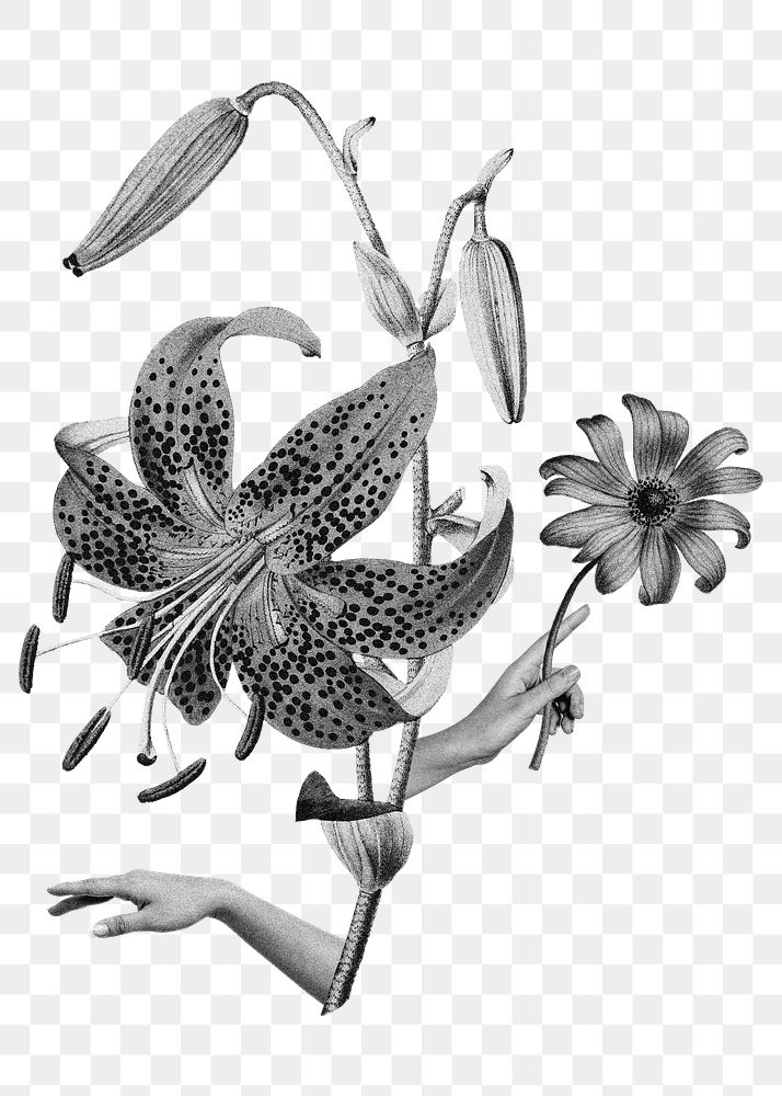 Tiger lily flower png sticker, surreal pointing hands collage art on transparent background