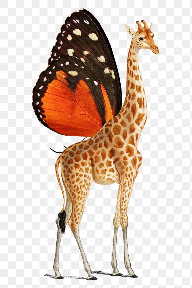 Butterfly winged giraffe png sticker, surreal art on transparent background
