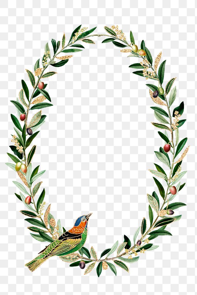 Hummingbird pattern frame png olive branches copy space