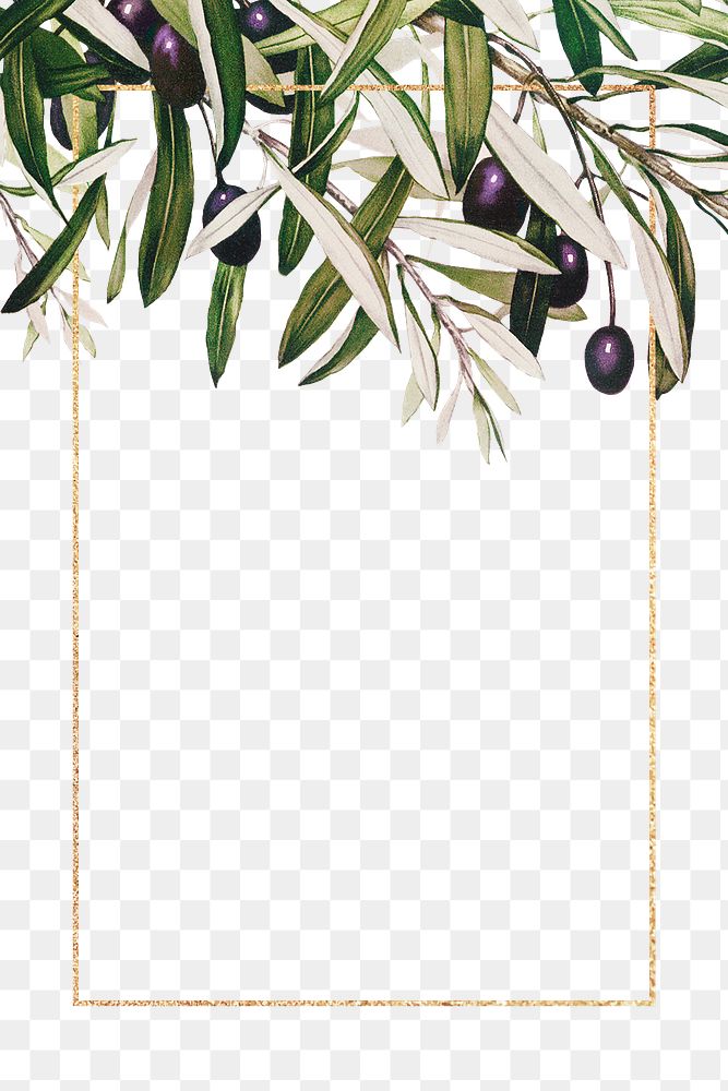 Botanical frame png olive branches | Premium PNG - rawpixel