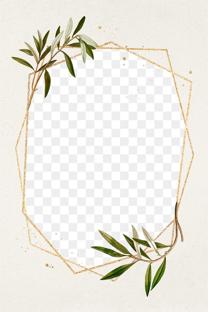 Botanical frame png olive branches pattern