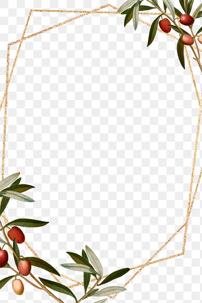 Green olive leaves png frame design space