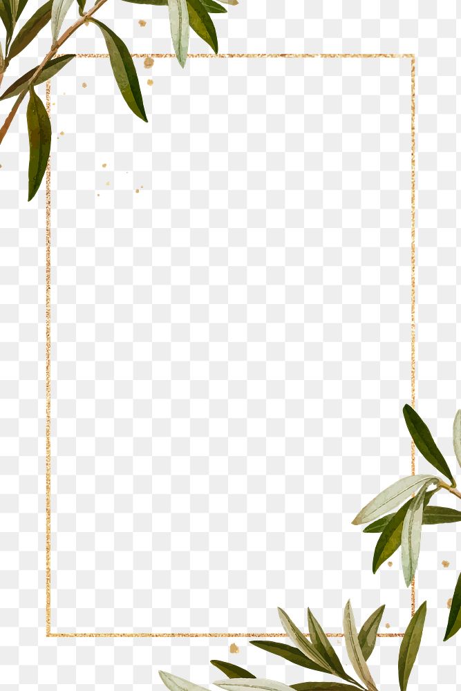 Olive branches frame png hand drawn border design space
