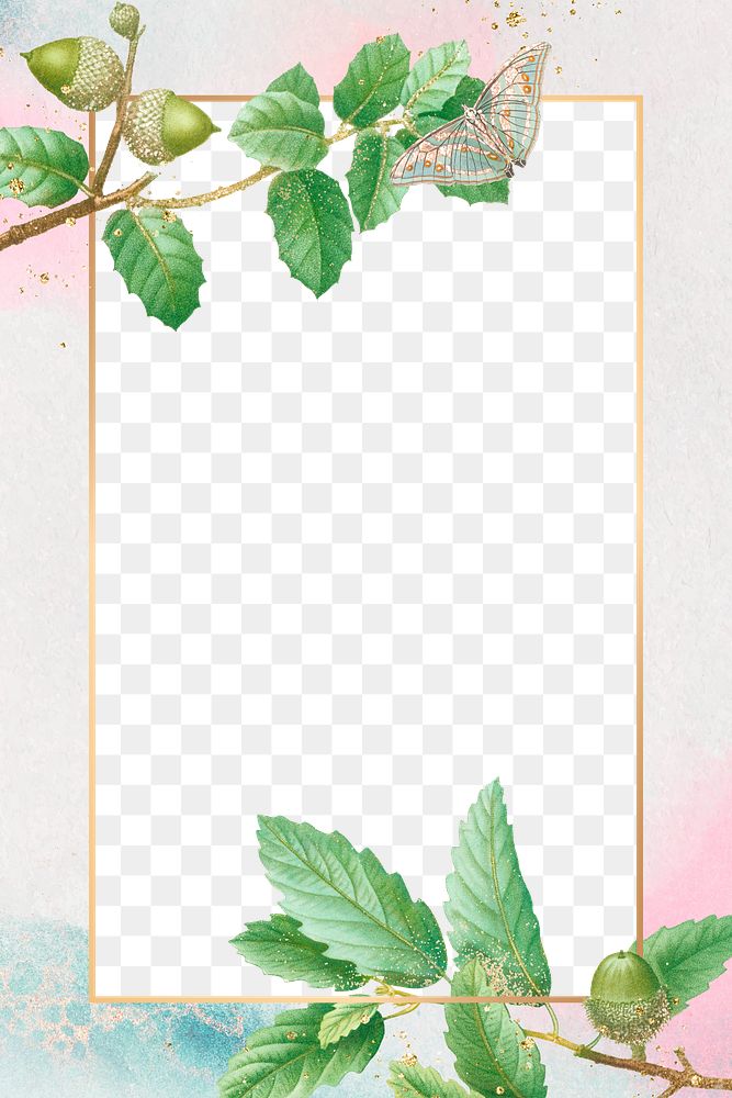 Frame png oak leaves pattern pastel gradient border