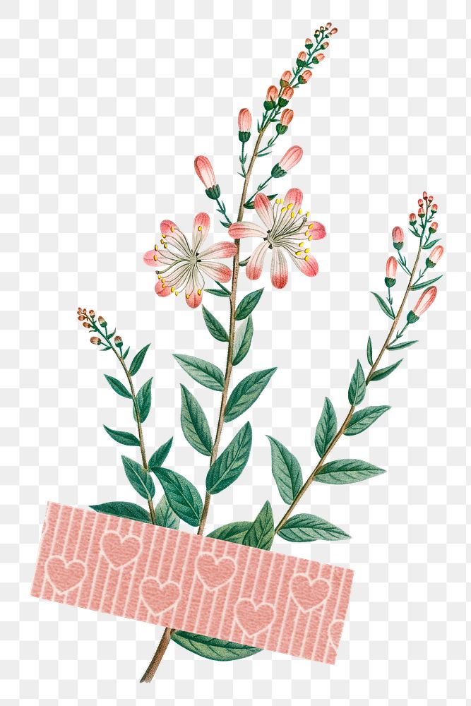 Flower with a pink Washi tape design element transparent png