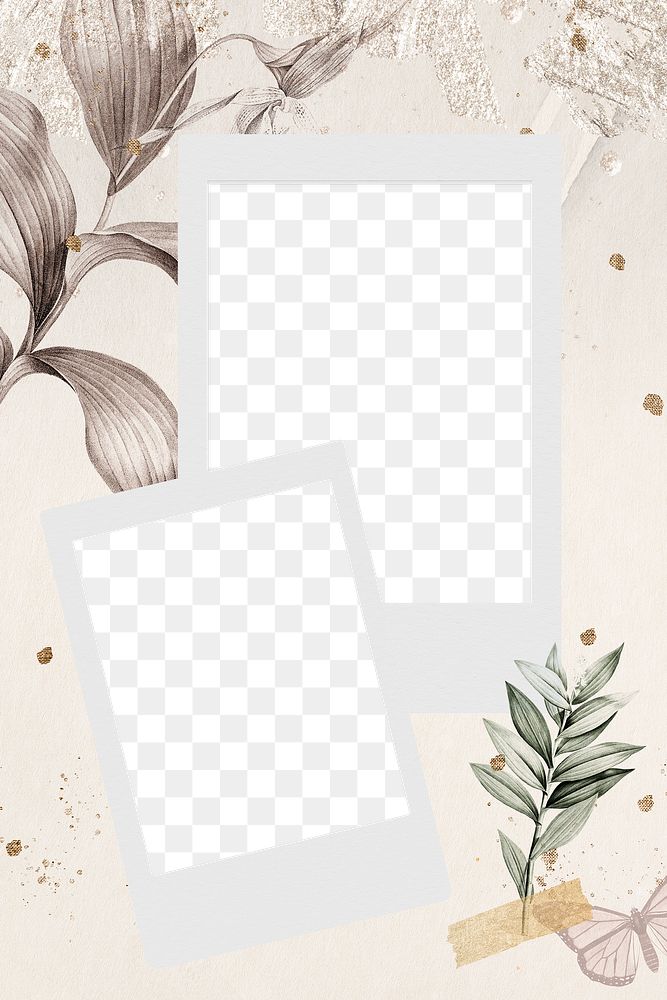 Blank photo frames on tropical leafy background transparent png