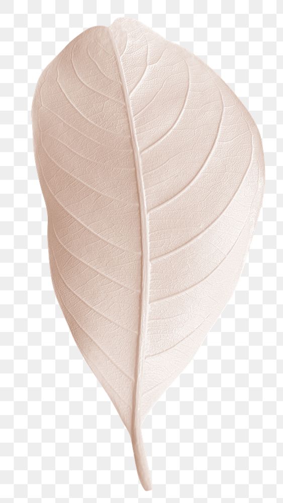 Closeup of pink pastel leaf design element