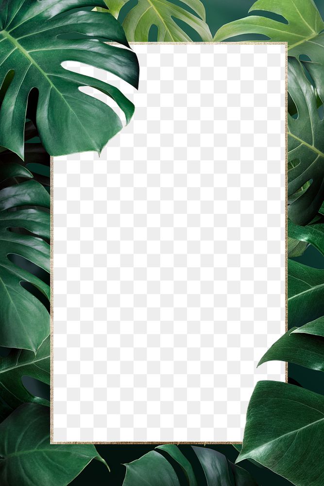 Golden rectangle monstera leaves frame design resource 
