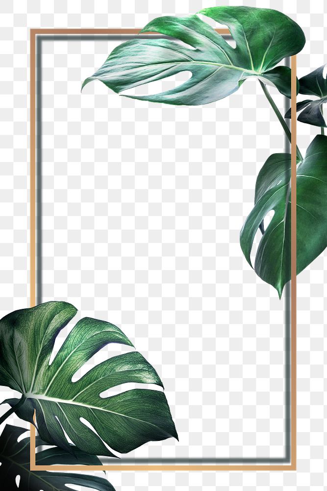 Rectangle golden monstera frame design resource 