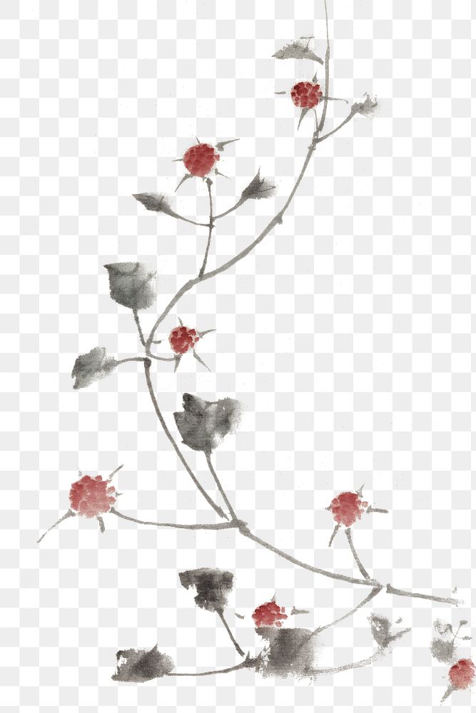 Red blossoms vintage illustration transparent png, remix of original painting by Hokusai.