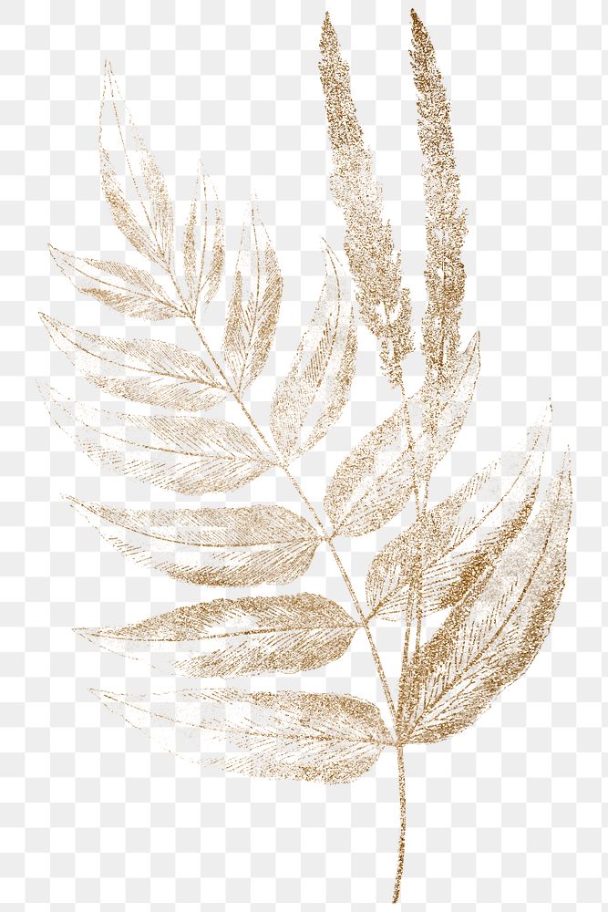 Golden fern leaves design element