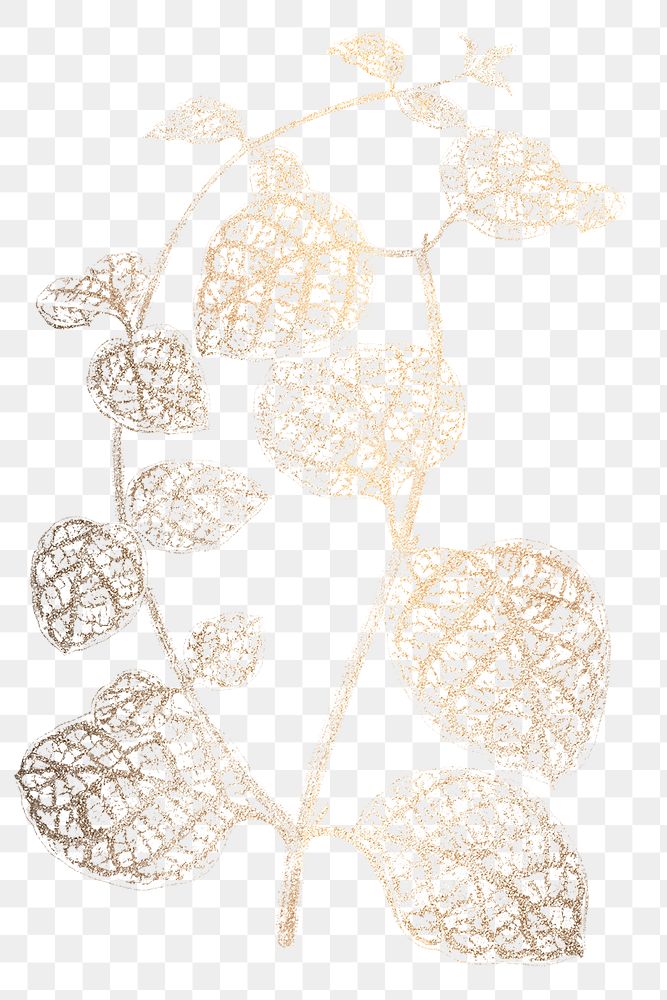 Golden Japanese honeysuckle leaves design element 