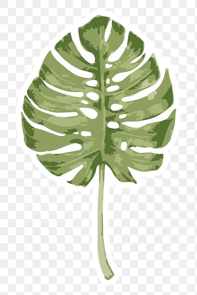 Vectorize monstera leaf sticker with white | Free PNG Sticker - rawpixel