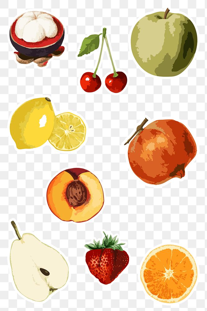 Vectorized tropical fruit sticker collection design elements 