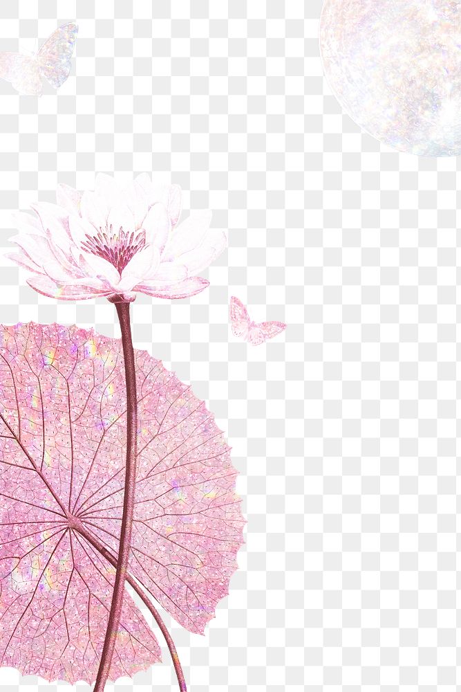 Pink holographic water lily background design element