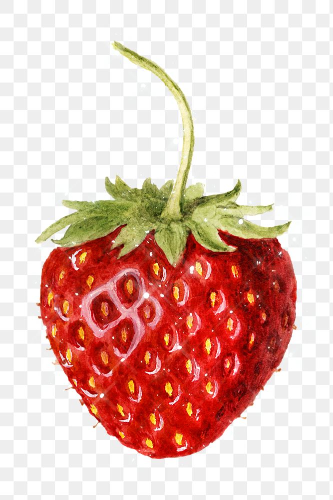 Hand drawn sparkling strawberry design element
