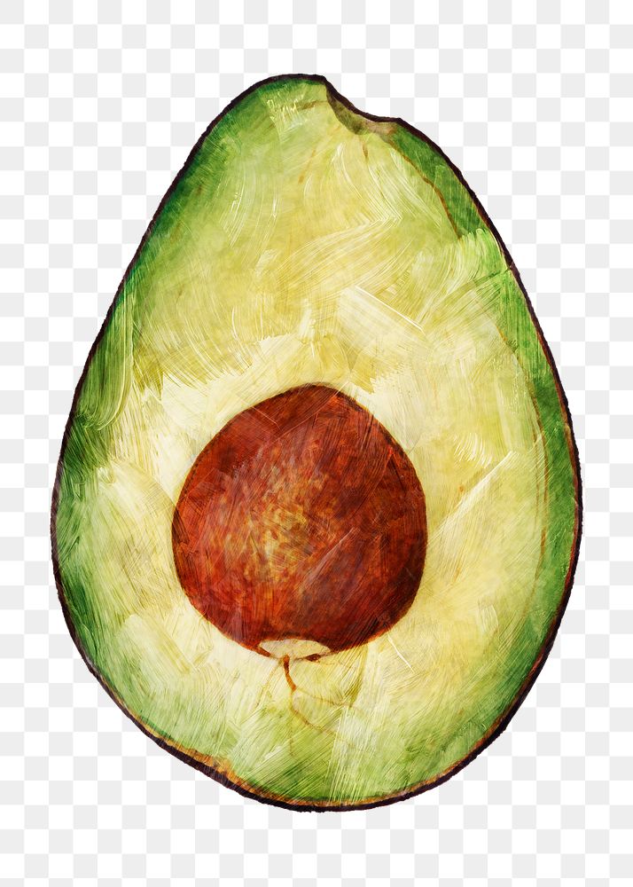 Hand drawn half of avocado fruit design element