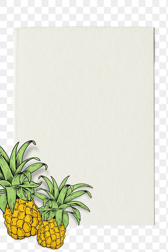 Rectangle hand drawn pineapple frame design element