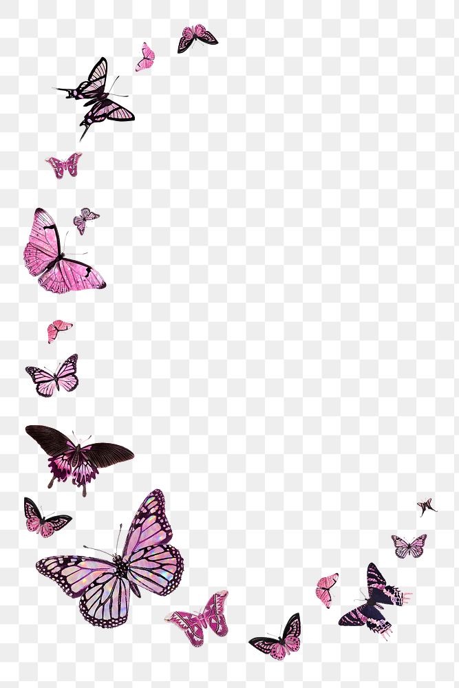 Pink butterfly border design element