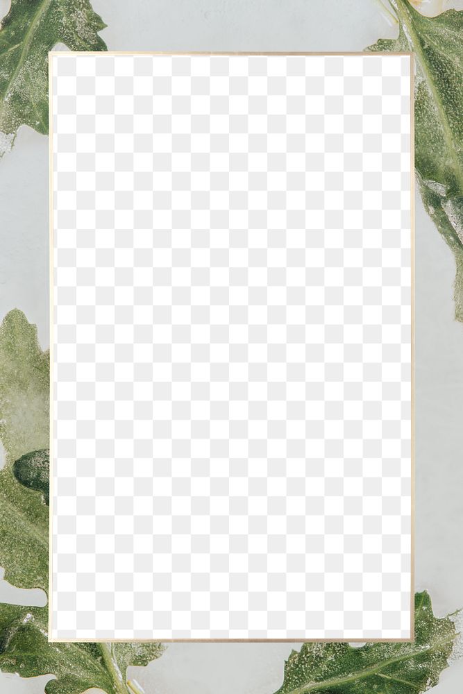 Chrysanthemum leaves gray frame png